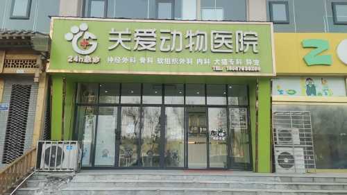 关爱动物医院(24小时急诊)
