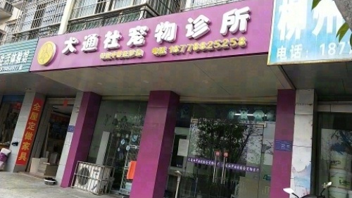 柳州市柳南区犬通社宠物医疗