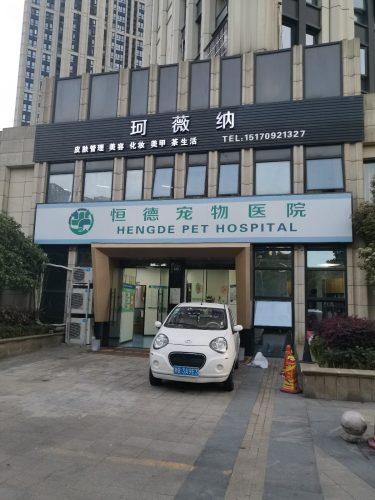 恒德宠物医院