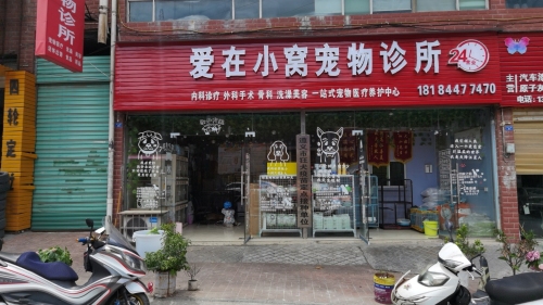 爱在小窝宠物诊所