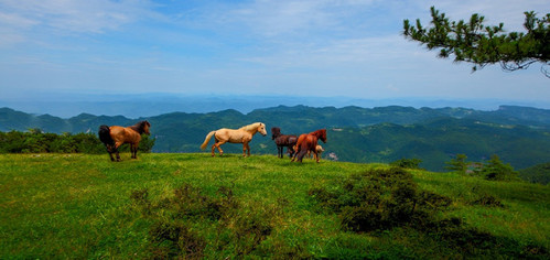 百里荒风景区