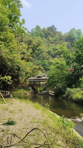 泡木冲生态康养景区