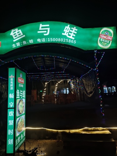 鱼与蛙