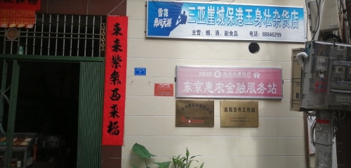 三亚崖城保港王身壮杂货店