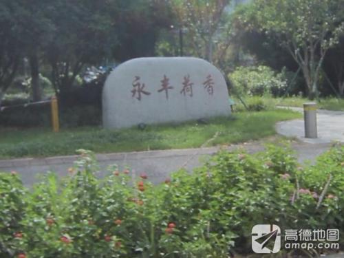 永丰荷香公园