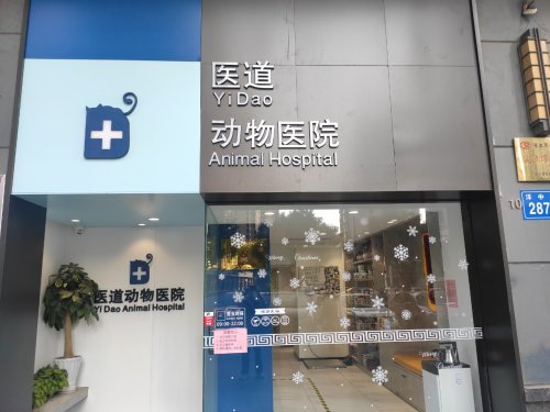 医道动物医院