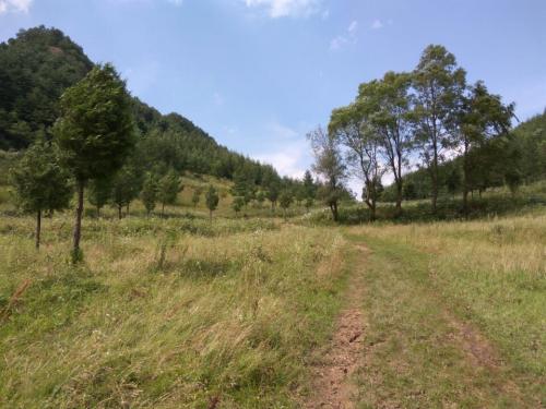 麦积山风景名胜区-罗汉崖