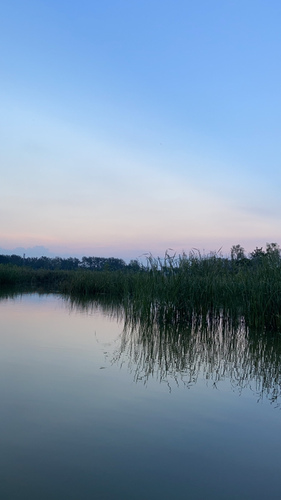 周口市沙河湾湿地公园