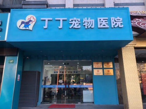 丁丁宠物医院