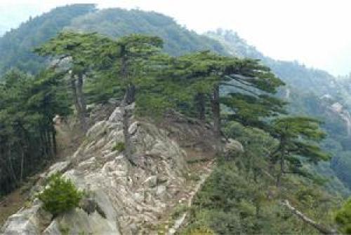 大别山国家地质公园