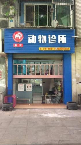 亚美动物诊所