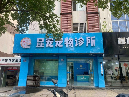 昆宠宠物诊所