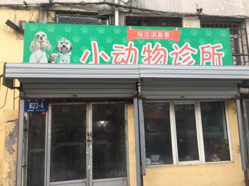 哈尔滨昌泰小动物诊所