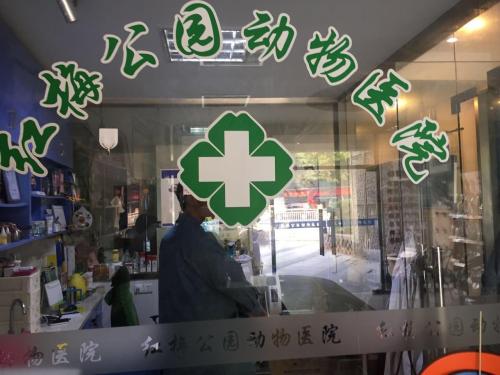 红梅动物医院