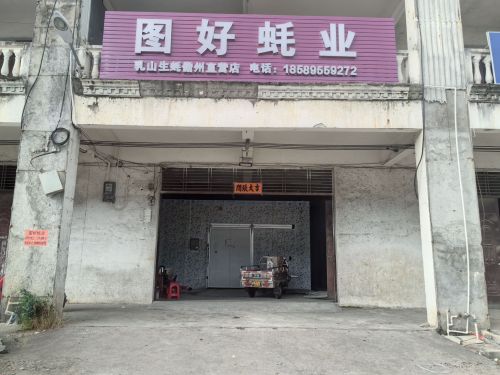 儋州那大图好蚝业(生蚝批发)