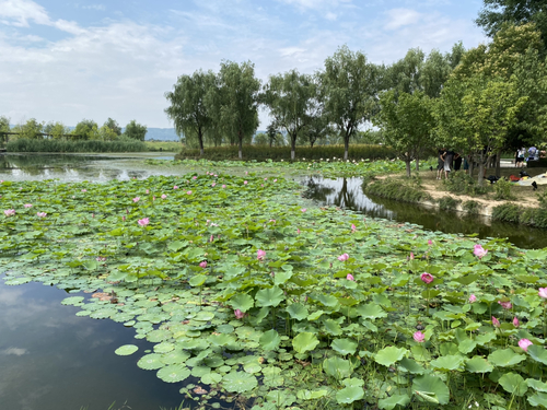 太公湖水利生态文化公园