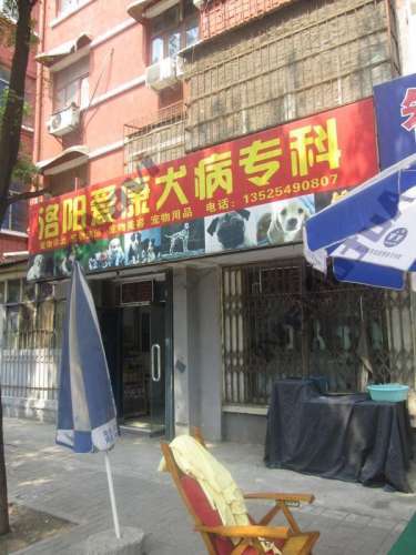 爱康犬病专科