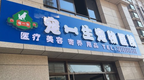 宠一生宠物医院