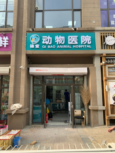 柒宝动物医院