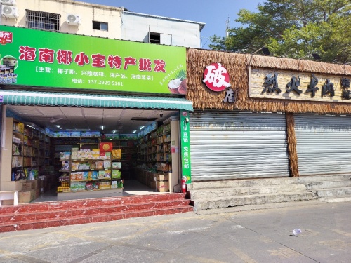 海南椰小宝特产批发店