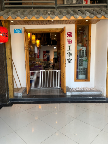 爱宠致尚动物医院
