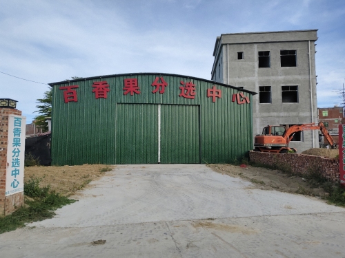 海南农业科技百香果分选中心