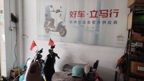 立马电动车(立才店)