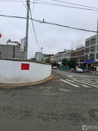 松涛大头鱼