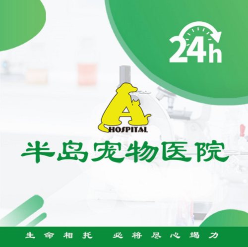 半岛宠物医院24小时(科华中路店)