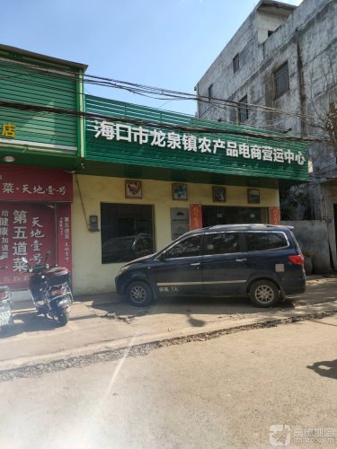 海口市龙泉镇农产品电商营运中心