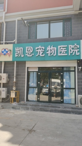 济南凯恩宠物医院