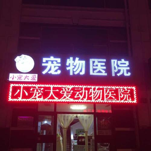 小宠大爱宠物医院