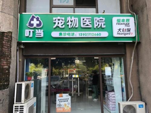 叮当宠物诊所(嘉元路店)