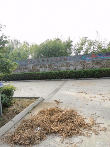 泰兴市姚王镇法治公园