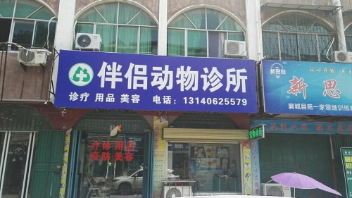 伴侣动物诊所