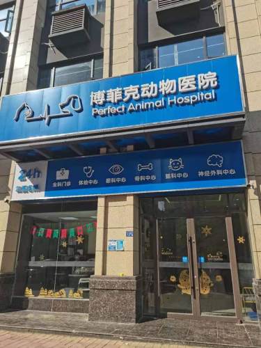 博菲克动物医院