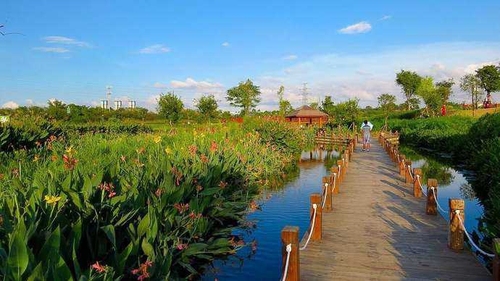 那考河湿地公园