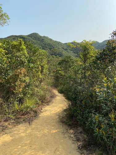 Tai Tam Family Walk-Hiking Trail