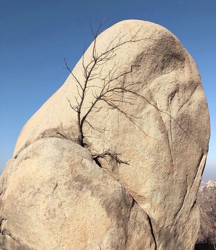 姜道山黄楝神仙洞