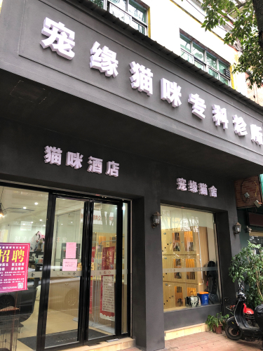 宠缘猫咪专科诊所