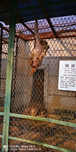 河滨公园-河滨动物乐园