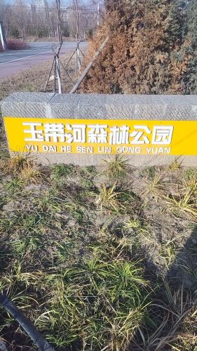 玉带河森林公园