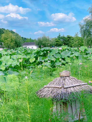 安吉余村景区