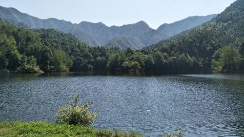 九天仙寓景区