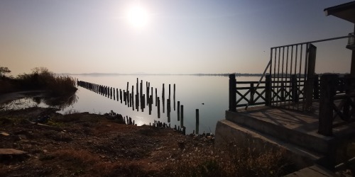 湖北保安湖国家湿地公园