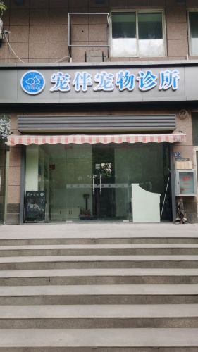 宠伴宠物诊所
