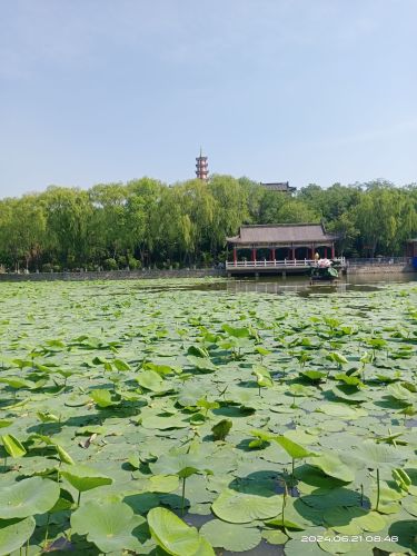 沈阳油田公园