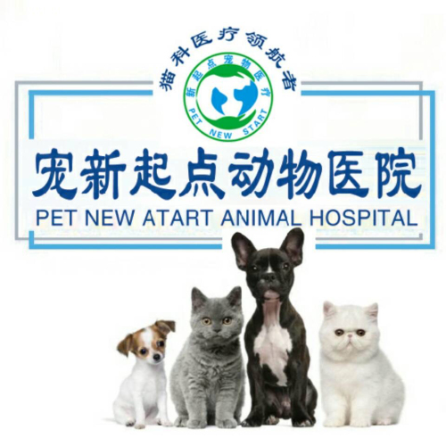 宠新起点动物医院(万达广场店)
