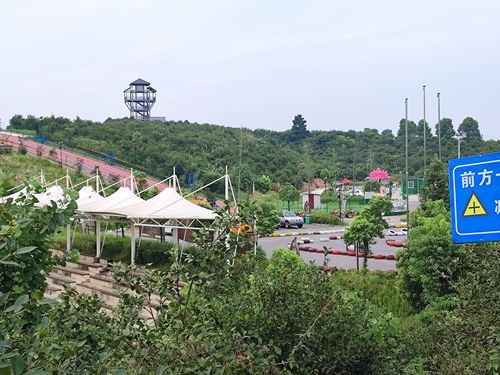 茶山花海景区