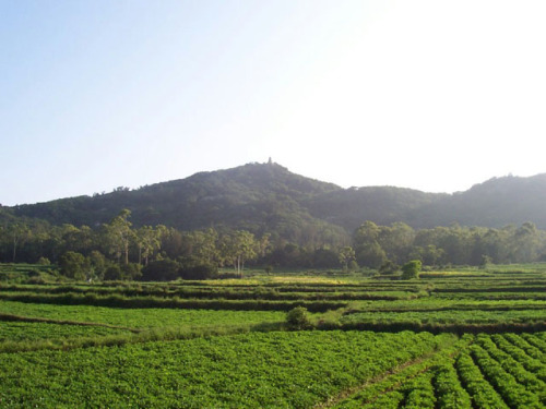 文笔山森林公园
